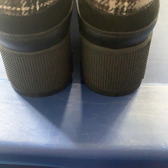 Wild dival - Picture 6 of 9